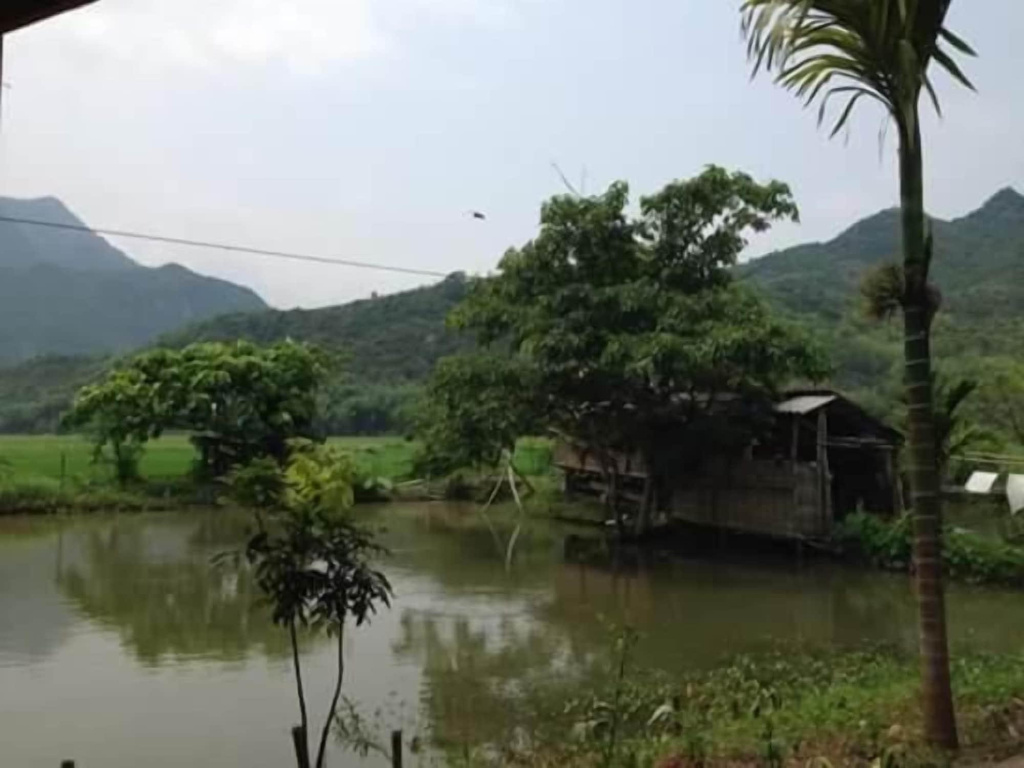 Hung Mech Homestay