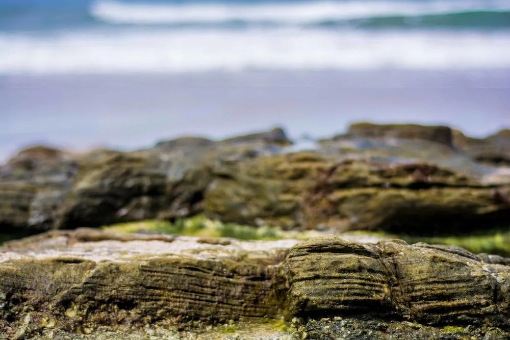 Beach & Waterfront