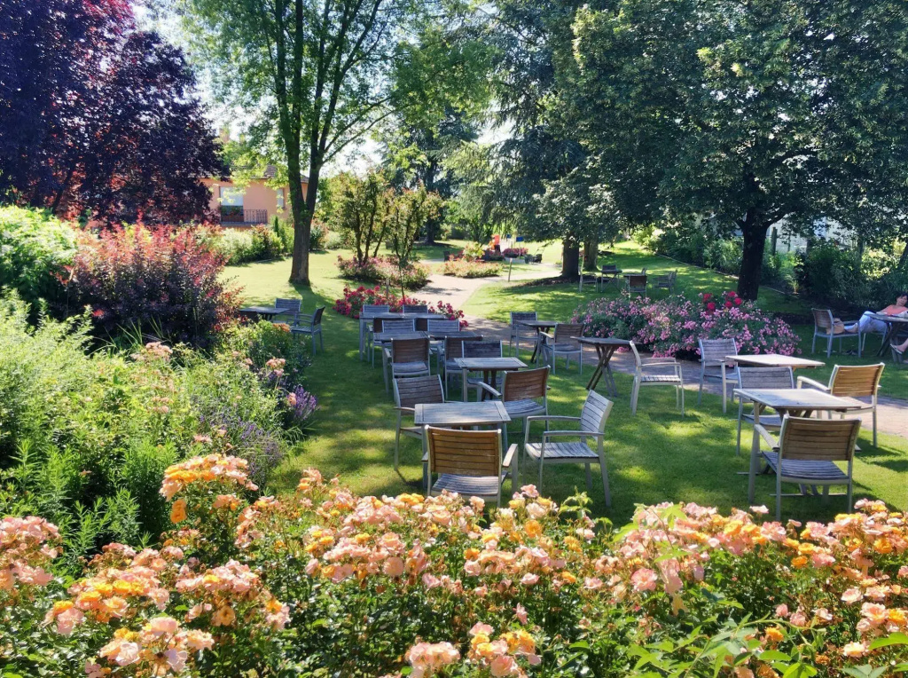 Brit Hotel et Spa COLMAR EAST - Général