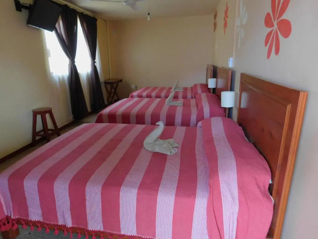Hotel Florida Oaxaca - Chambres