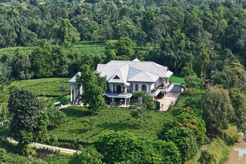 Vaani Greens Wildlife Resort Kaziranga
