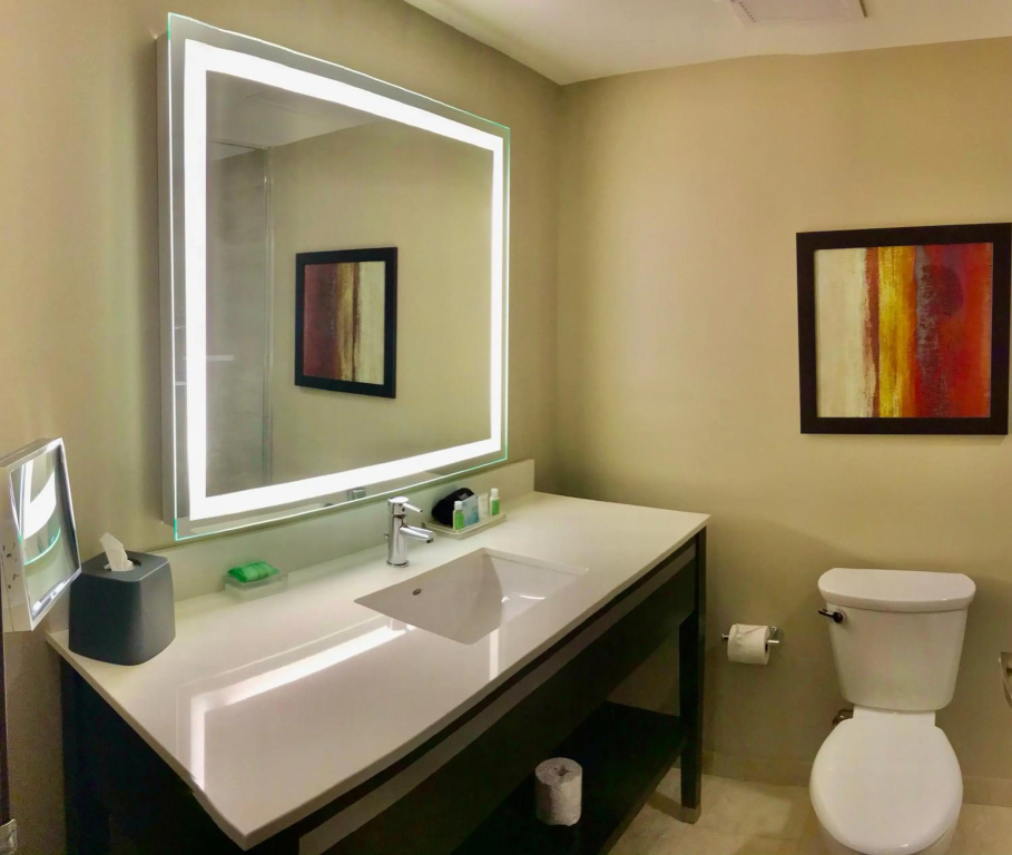 Holiday Inn Chicago - Schaumburg by IHG - Général