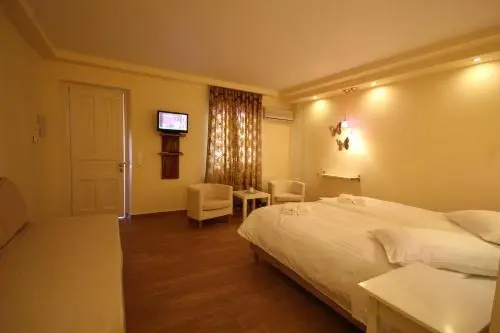 Alkionides Pension