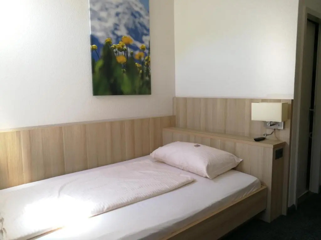 Standard Double room (full double bed)