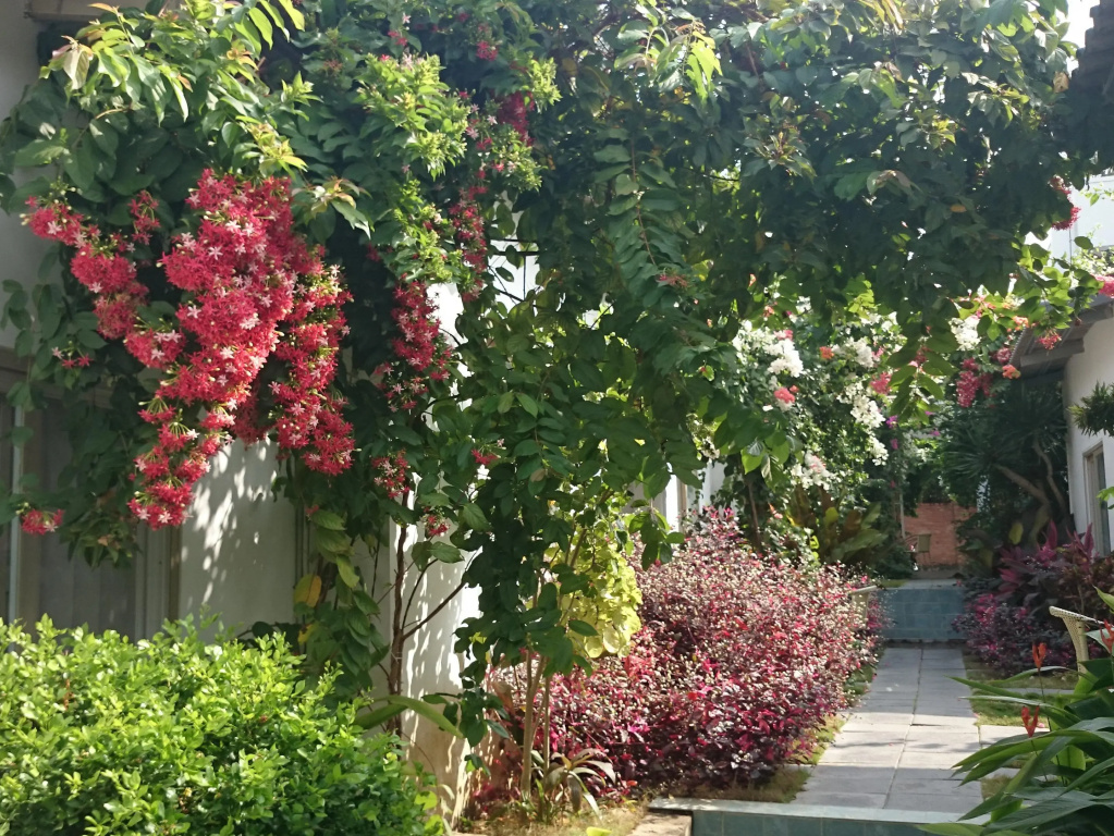 Sunshine Bungalow