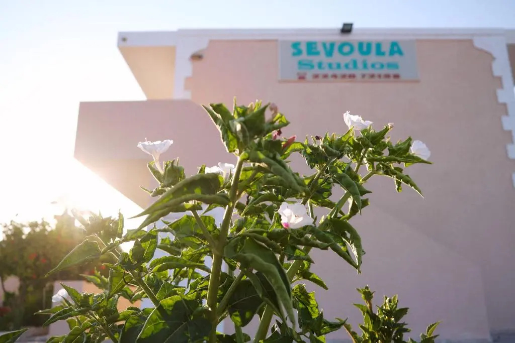 Sevoula studios - Chambres