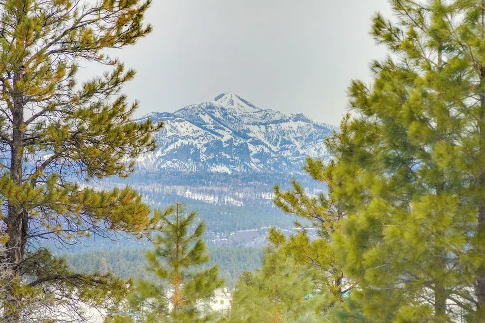 Pagosa Springs Vacation Rental 6 Mi to Downtown!