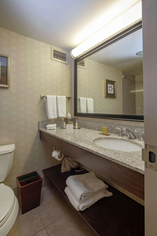 DoubleTree by Hilton Pittsburgh Monroeville Conv Center - Général