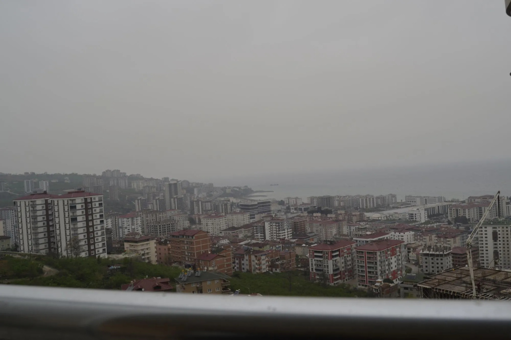Canary Apart