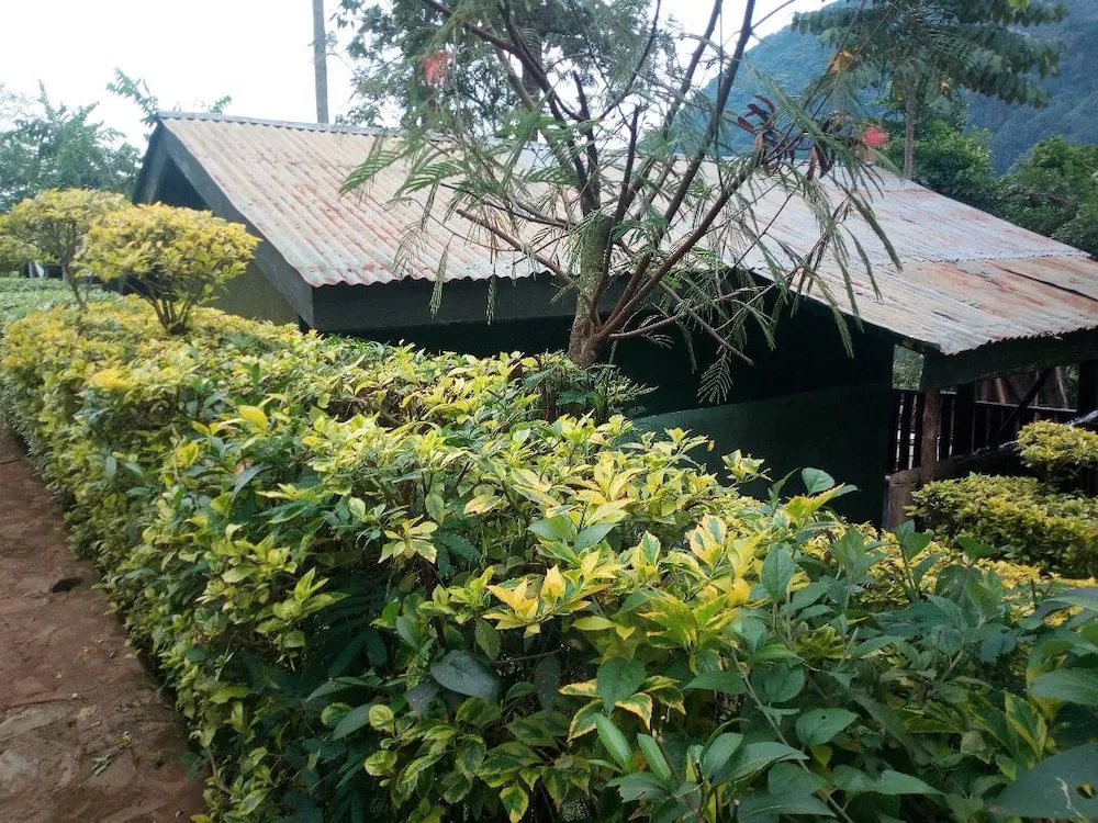 Bwindi View Lodge & Camp Site