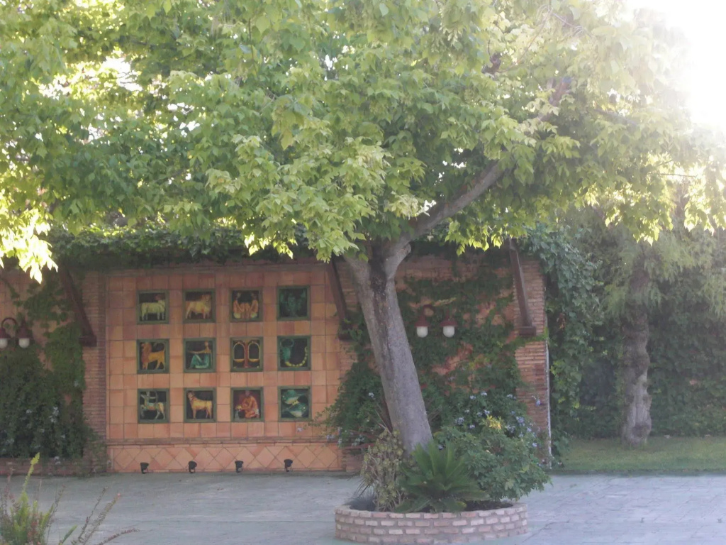 Hotel Don Gonzalo - Général