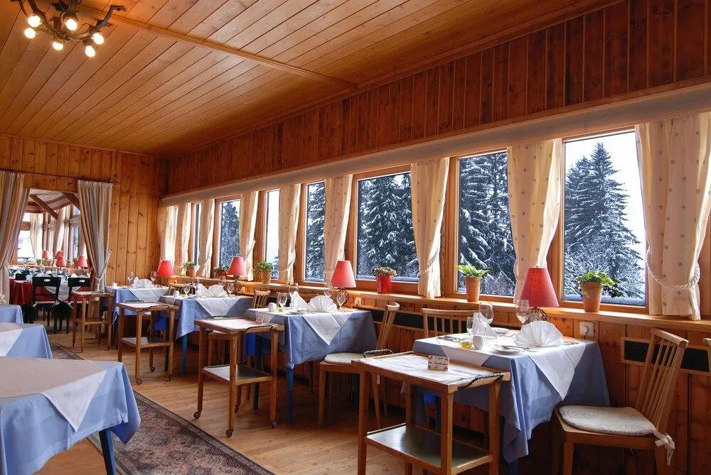Alpenhotel Gösing - Général