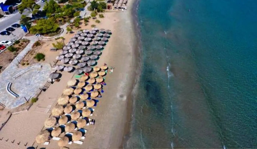Beach & Waterfront