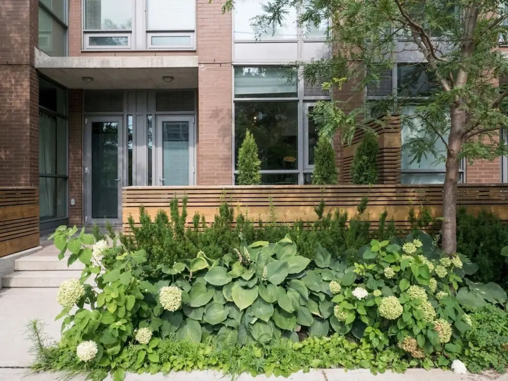 Dufferin Grove 1 Bedroom Loft-style Condo
