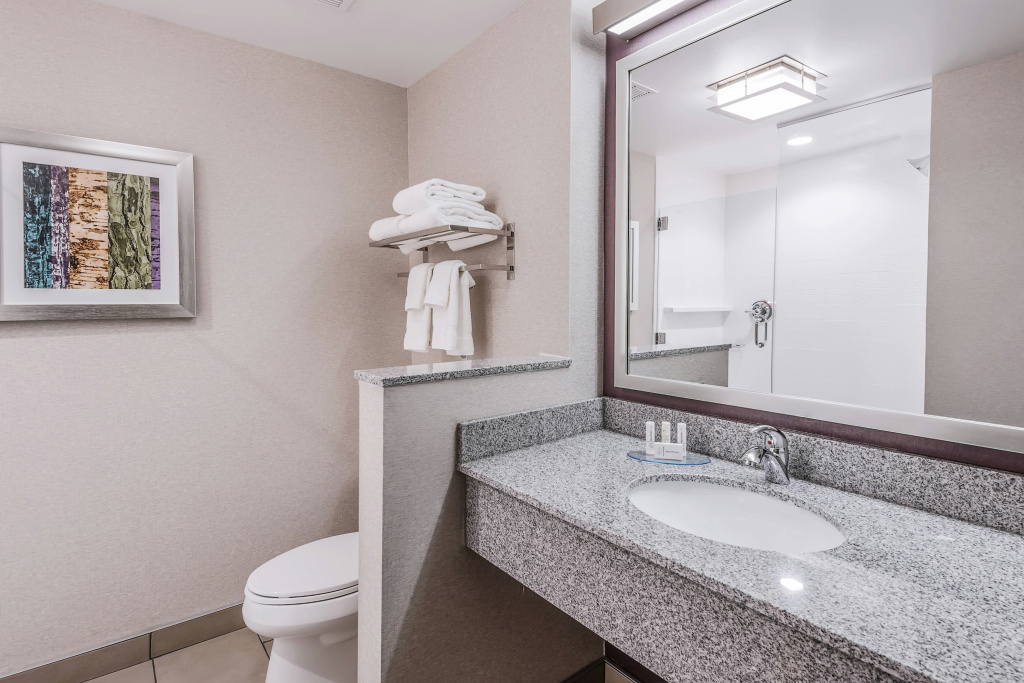 Fairfield Inn & Suites by Marriott Chicago Schaumburg - Général