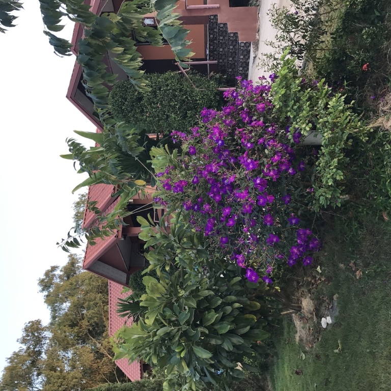 Tonkaew Khaokho Resort