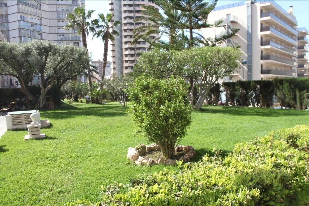 Albaida Park Apartment