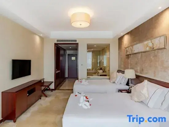 Deluxe Double room with city view (twin beds)