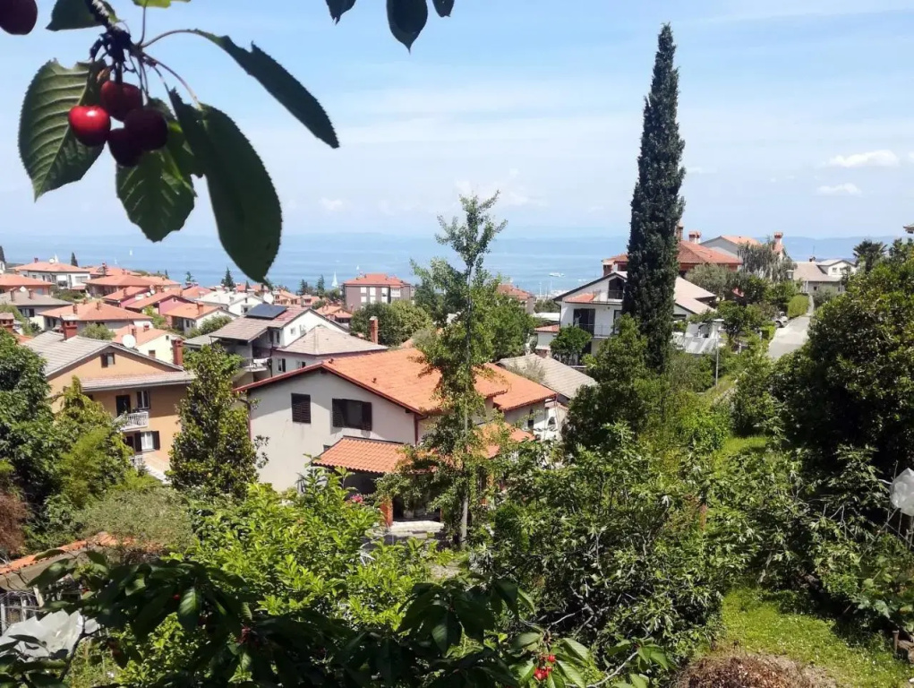 Parenzana 376