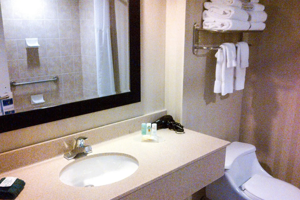 Quality Inn & Suites Downtown - Général