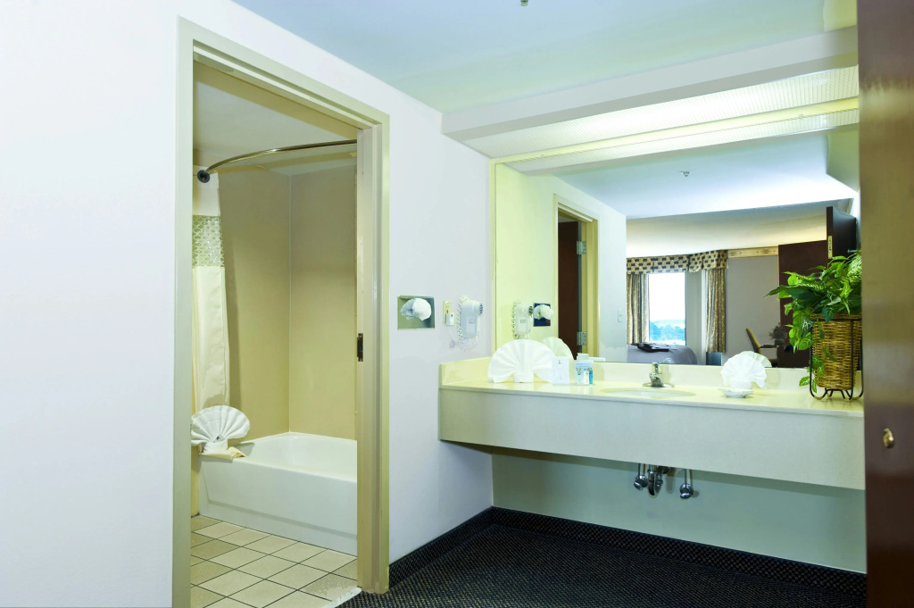 Hampton Inn & Suites Atlanta Airport North I-85 - Général