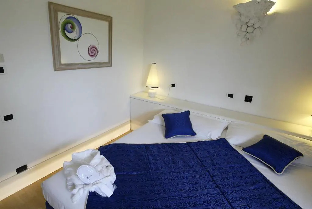 Superior Double room (full double bed)