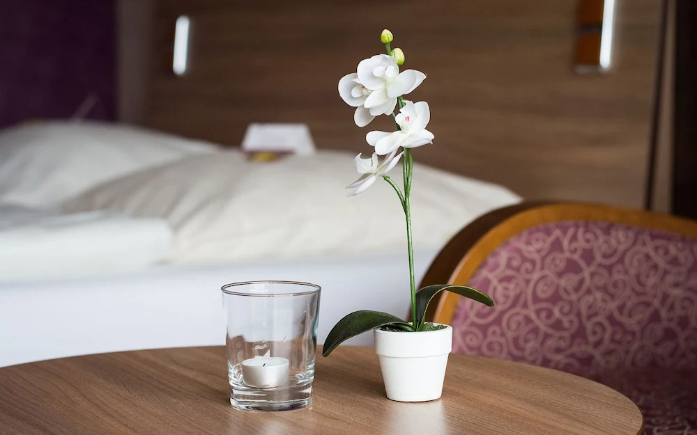 Seehotel Schwanenhof - Chambres