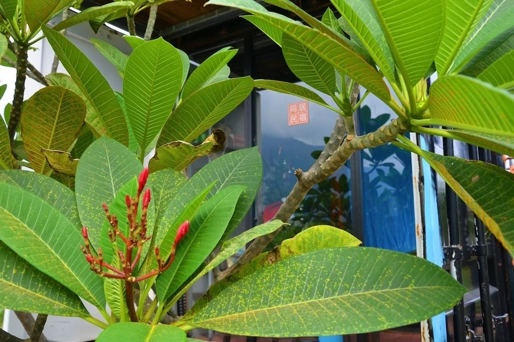 Tong Ju Homestay - Général