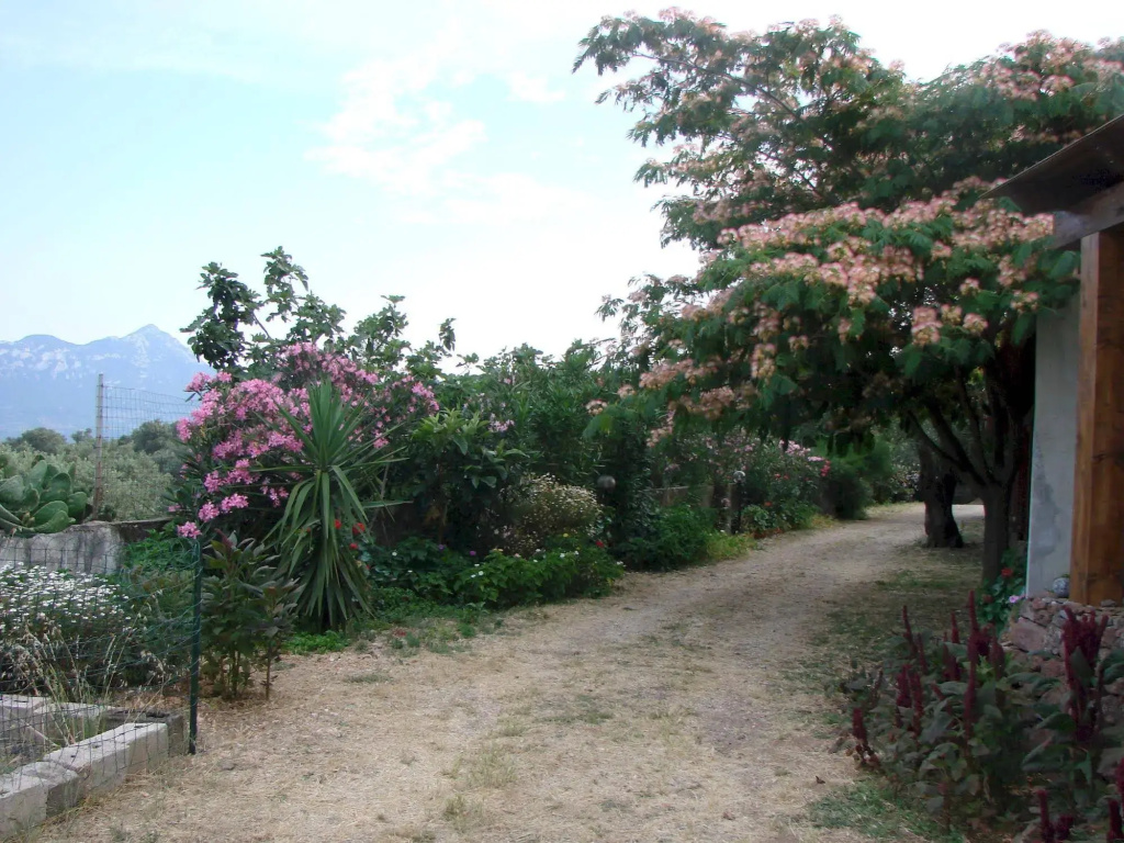 Agriturismo Su Tiresi