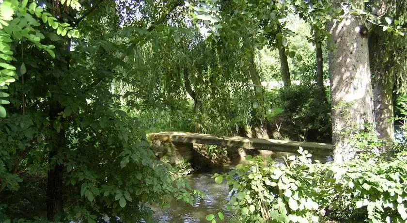 Öreg Fenyő Vendégház - фото 8