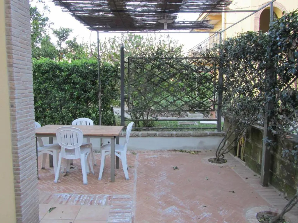 1 Bedroom Basement Apartment
