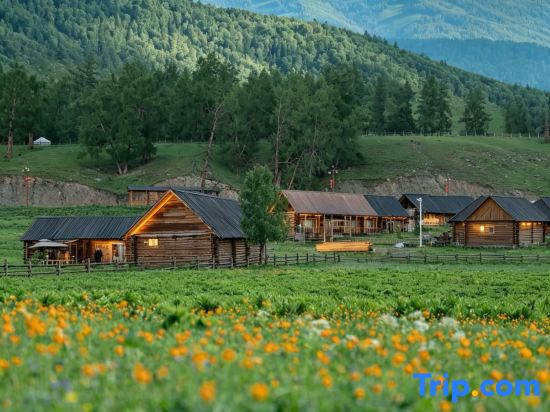 Xi Shan You Yu · HiCorer · Mountain Wilderness Retreat (Kanas Scenic Area Branch)