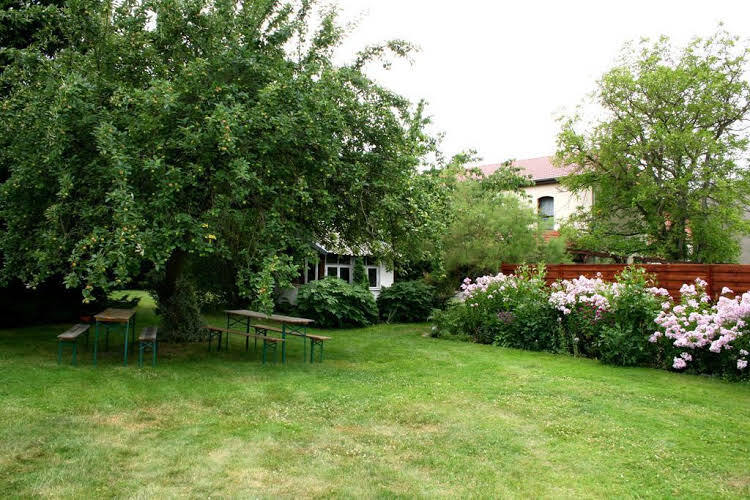 Image 9