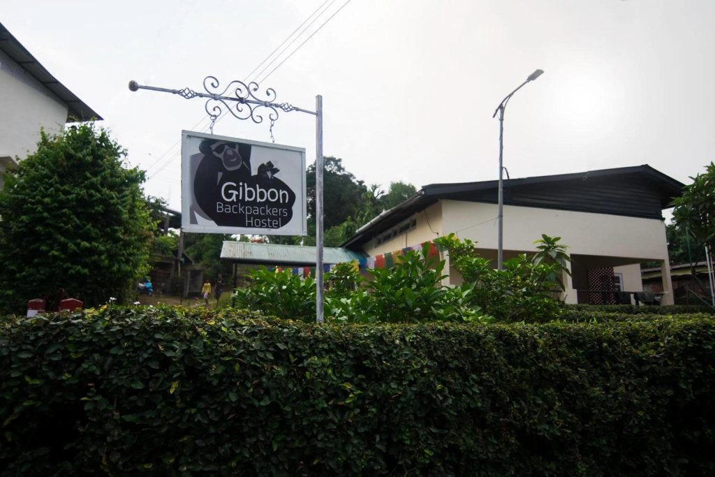 Gibbon Backpackers Hostel