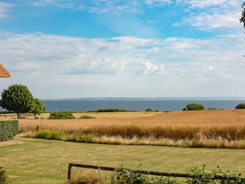 "Christian" - 250m from the sea in SE Jutland