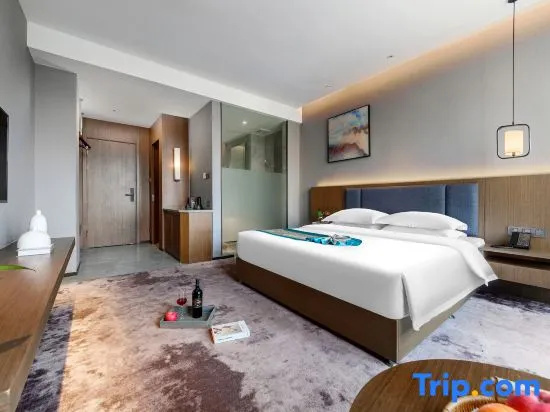 Standard Double room with city view (full double bed)