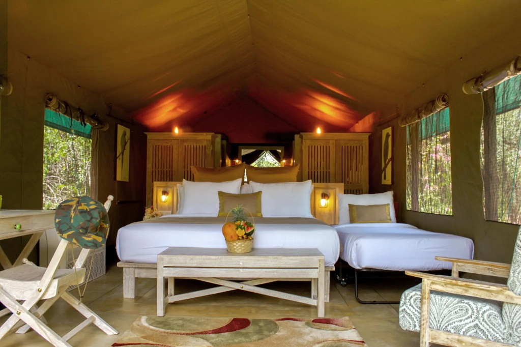 Flameback Eco Lodge — 4