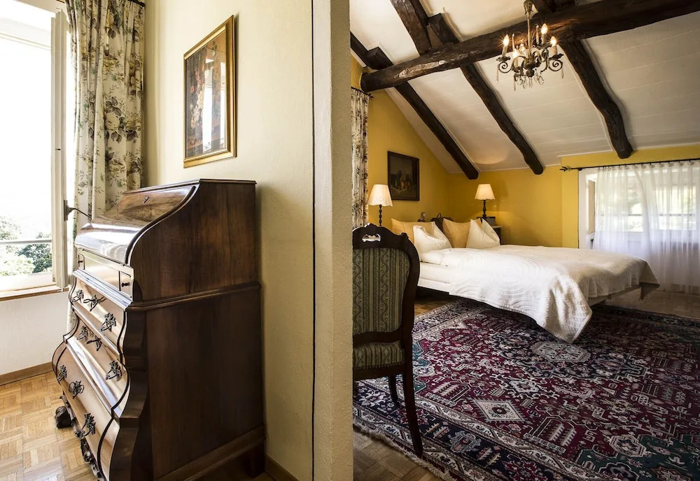 Swiss Historic Hotel Villa Carona - Général