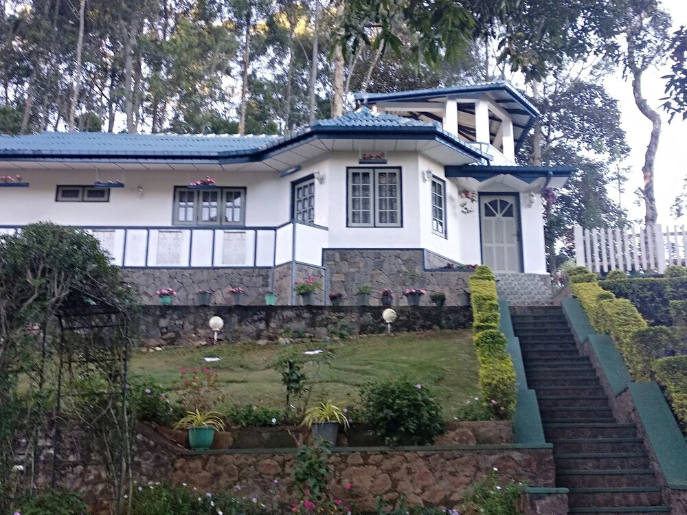 Windsor Forest Bungalow