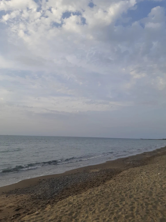 Beach & Waterfront