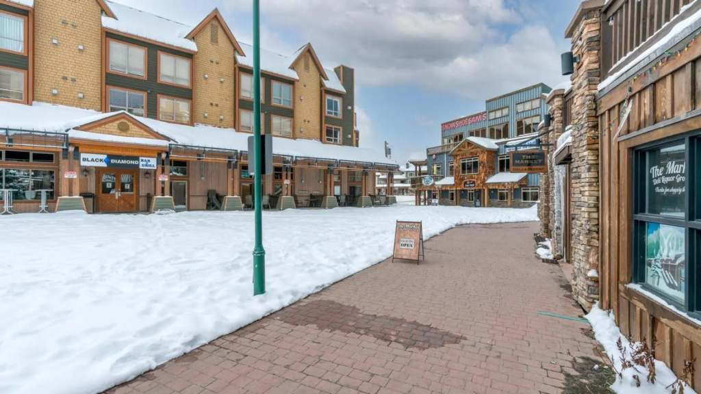 Raven's Nest - Luxury Pet Friendly Condo w/ Private Hot Tub & Mountain Views