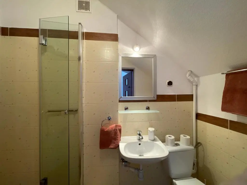 Standard Double room (full double bed)
