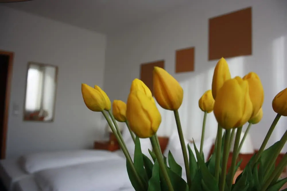 Hotel am Markt - Chambres