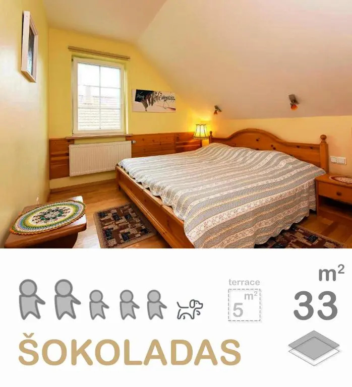 Duplex Apartment