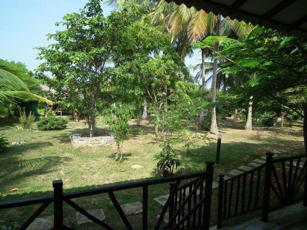 Coconut Island