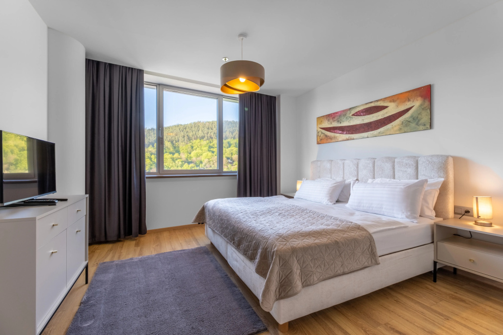 Holiday Inn Zilina by IHG - Général