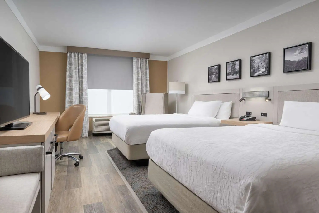 Hilton Garden Inn Chattanooga Downtown - Chambres