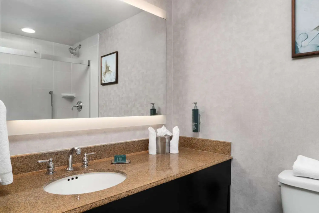 DoubleTree by Hilton Hartford - Bradley Airport - Général