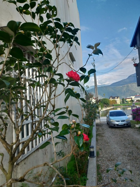 Hotel photo 41