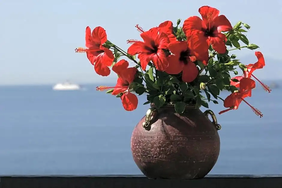Andros Holiday - Chambres